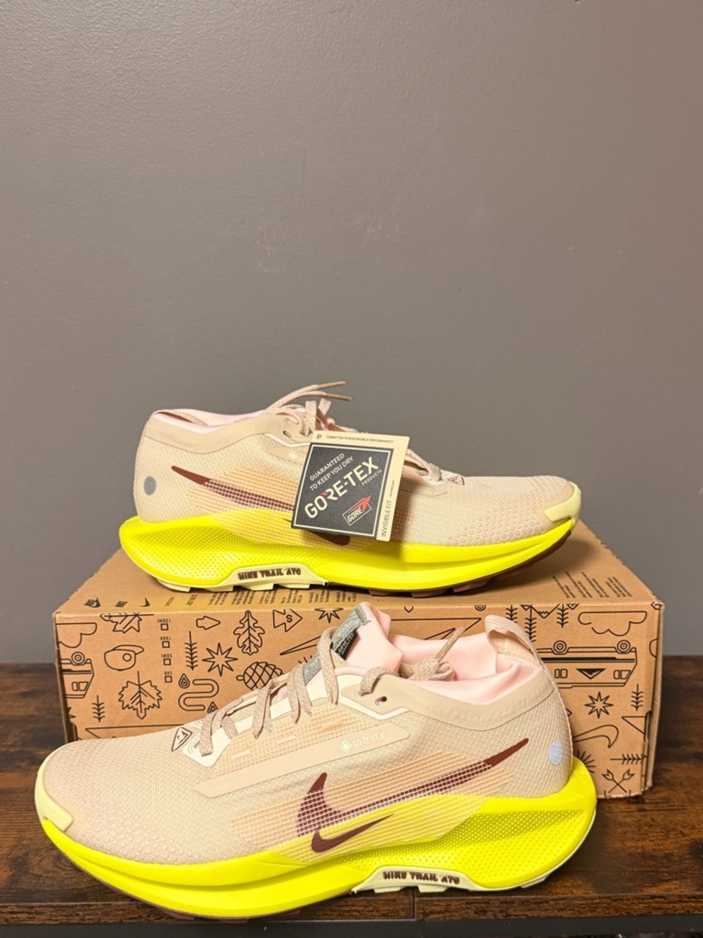 Nike Pegasus Trail 5 Gore-Tex Running Shoes